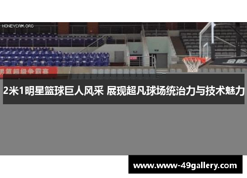 2米1明星篮球巨人风采 展现超凡球场统治力与技术魅力