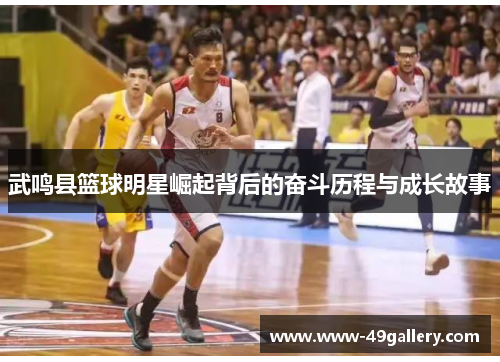 武鸣县篮球明星崛起背后的奋斗历程与成长故事